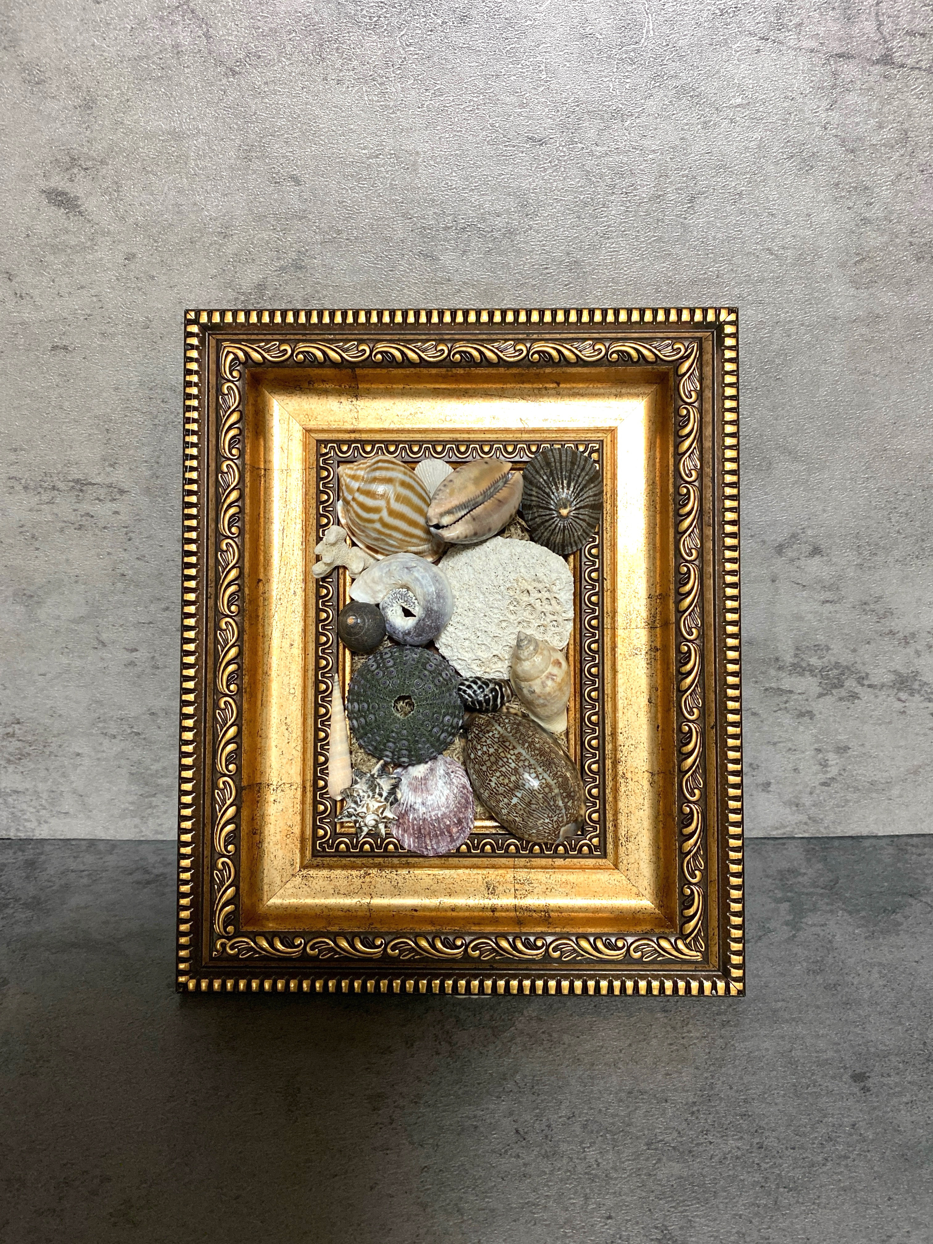 #貝殻　#フレーム　#アレンジメント#男前インテリア#オシャレ#海#海好き#プレゼント