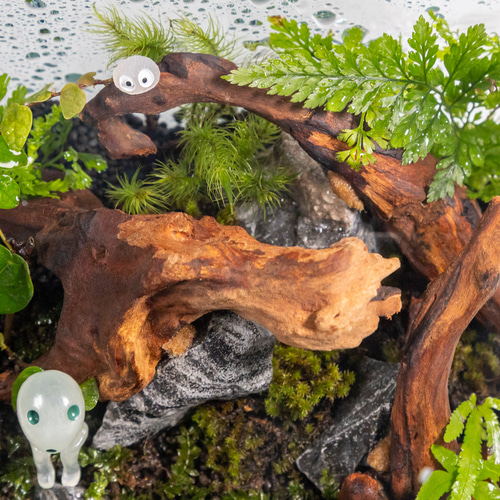 苔テラリウム 15cm GEX製キューブ水槽 こだま フィギュア付き 完成品】苔テラリウム 15cm GEX こだま フィギュア付き 蓋あり