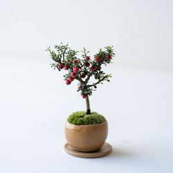 シロシタン｜びわ色のうつわ 4枚目の画像