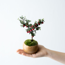 シロシタン｜びわ色のうつわ 3枚目の画像