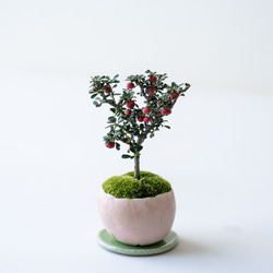 シロシタン｜桃色のうつわ 4枚目の画像