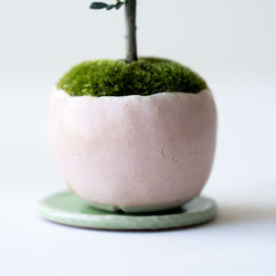 シロシタン｜桃色のうつわ 8枚目の画像