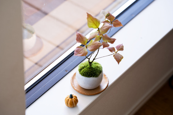 【数量限定】ちいさな陶器のかぼちゃ 8枚目の画像