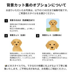 うちの子スマホ耐衝撃ケース 写真プリント Iphone17/16/15/14/13/12/11/SE スマホケース 10枚目の画像