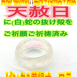 神塩✨ 神社で祓い清めた神塩✨縁起✨財布✨白蛇の脱け殻✨メモリー