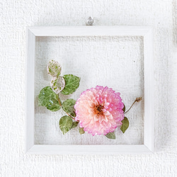 ダリアのフラワーパネル｜レジン×ドライフラワー｜特別な日に送りたい高級感あふれるフラワーパネル｜結婚・新築・記念日ギフト 5枚目の画像