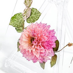 ダリアのフラワーパネル｜レジン×ドライフラワー｜特別な日に送りたい高級感あふれるフラワーパネル｜結婚・新築・記念日ギフト 3枚目の画像