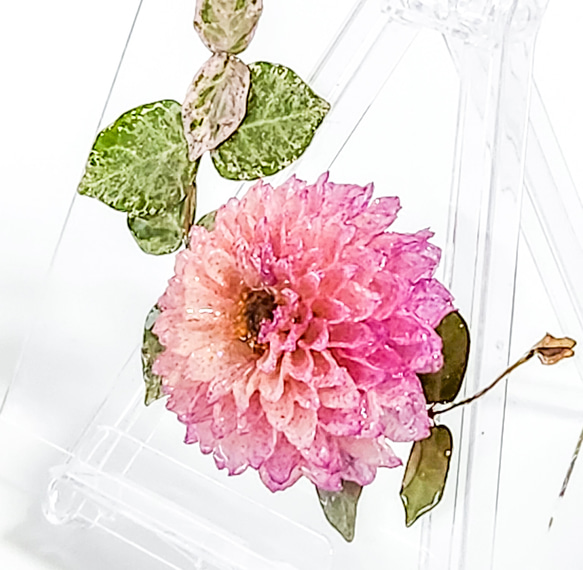 ダリアのフラワーパネル｜レジン×ドライフラワー｜特別な日に送りたい高級感あふれるフラワーパネル｜結婚・新築・記念日ギフト 3枚目の画像