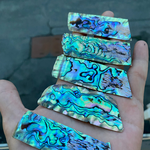 アワビ貝 ニュージーランドアワビ貝 6枚セット 自然アワビ貝 螺鈿細工