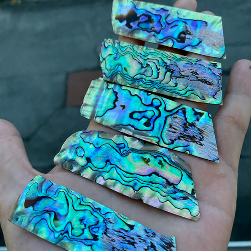 アワビ貝 ニュージーランドアワビ貝 6枚セット 自然アワビ貝 螺鈿細工