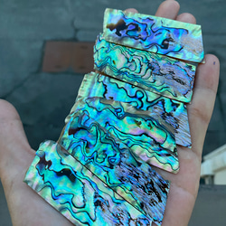 ヴィンテージ アワビ パウア貝 魚の細工 孔雀貝 オブジェ 42cm 希少 アワビ貝 ニュージーランドアワビ貝 6枚セット 自然アワビ貝 螺鈿細工