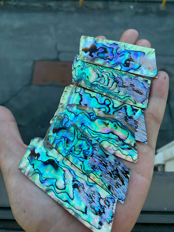 アワビ貝 ニュージーランドアワビ貝 6枚セット 自然アワビ貝 螺鈿細工