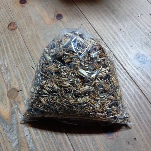 天然マリーゴールドの花種、大量1万粒、お花畑パック＋季節の種セット