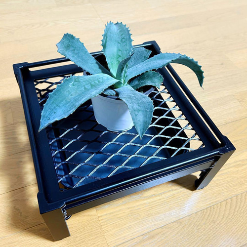 植物棚　シェルフ　６号鉢　受け皿　プランタラック　アガペ　コーデックス 植物棚 シェルフ 6号鉢 受け皿 プランタラック アガペ コーデックス