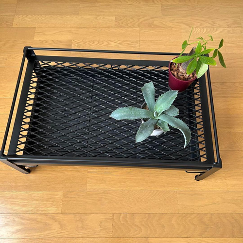 メッシュプランターラック 64cm x 40cm 受け皿付き アガペ グラキリス