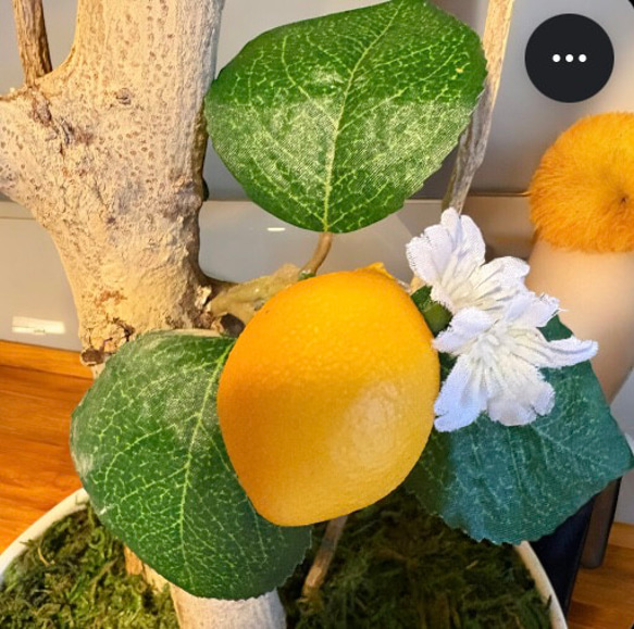 光触媒　人工観葉植物　ウォールグリーン　フェイクグリーン　レモンツリー11343 6枚目の画像