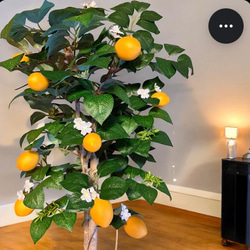 光触媒　人工観葉植物　ウォールグリーン　フェイクグリーン　レモンツリー11343 3枚目の画像