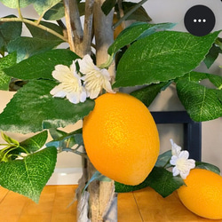 光触媒　人工観葉植物　ウォールグリーン　フェイクグリーン　レモンツリー11343 4枚目の画像