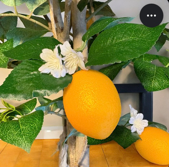 光触媒　人工観葉植物　ウォールグリーン　フェイクグリーン　レモンツリー11343 4枚目の画像