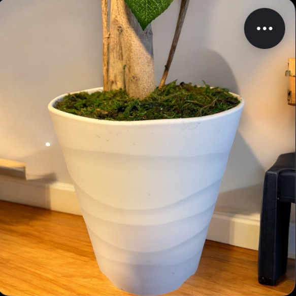 光触媒　人工観葉植物　ウォールグリーン　フェイクグリーン　レモンツリー11343 7枚目の画像