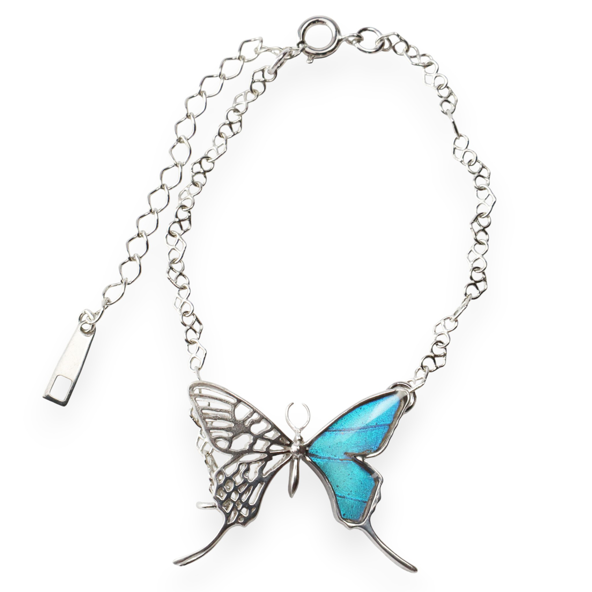 本物の蝶の羽　透かしの二枚羽  蝶ブレスレット　ゼフィリティスモルフォ　[zps061r-zep]