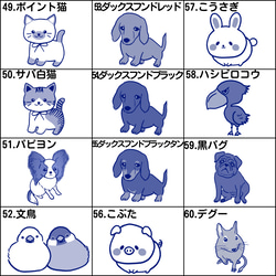 秋冬限定 お得なランダムサイズおくすりがまぐち福袋5個セット〈おまけつき〉 10枚目の画像