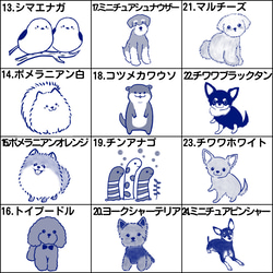 秋冬限定 お得なランダムサイズおくすりがまぐち福袋5個セット〈おまけつき〉 8枚目の画像