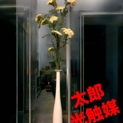 光触媒 人工観葉植物 ウォールグリーン フェイク フラワー