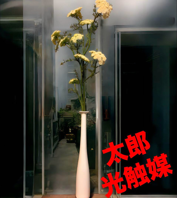 光触媒　人工観葉植物　ウォールグリーン　フェイクグリーン　花器付きレースフラワー 1枚目の画像