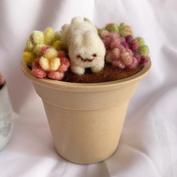 羊毛フェルトの多肉植物寄せ植えとねむねむうさぎさん 羊毛フェルト め