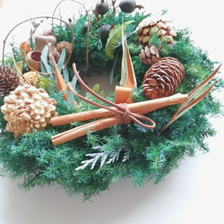 ブルーファンタジアのハーフリース ドライフラワー viento 通販