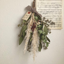 新芽の美しいユーカリ香るプロテアのコロンとしたナチュラルスワッグ ca19f02f24eeee72625e8aae8edc9b