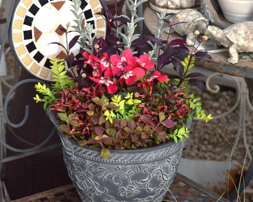 1fbd676837ed9d2c8d6eae9700d7c4