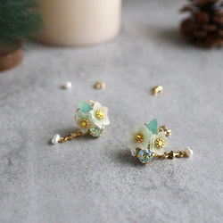 クリスマスローズクリスマスコフレ 4枚目の画像