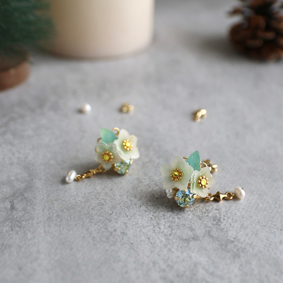 クリスマスローズクリスマスコフレ 4枚目の画像