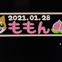 お名前ワッペン☆新幹線型☆こまち☆のぞみ☆はやぶさ☆ドクター