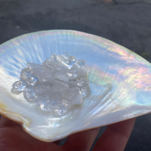 浄化セット 自然白蝶貝1枚＆天然水晶さざれ (50g) 置物 その他置物