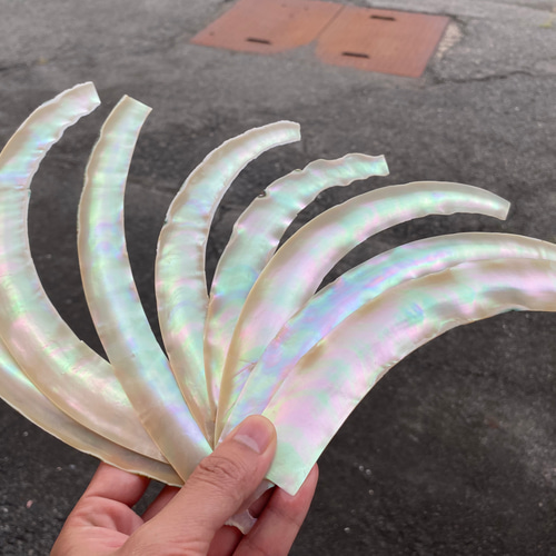 夜光貝 スライス 3枚セット 螺鈿細工 ハンドメイド ハンドクラフト