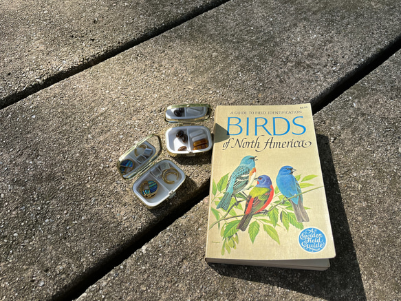 〔ピルケース〕おしゃれでかわいい！持ち運びしやすい外国切手のケース ドイツ 舞台衣装 緑　ラッピング無料！プレゼントにも 4枚目の画像