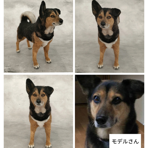 柴犬・秋田犬・和犬系MIX】うちの子オーダーメイド 羊毛フェルト 羊毛