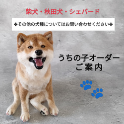 柴犬・秋田犬・シェパード】うちの子オーダーメイド 羊毛フェルト 羊毛