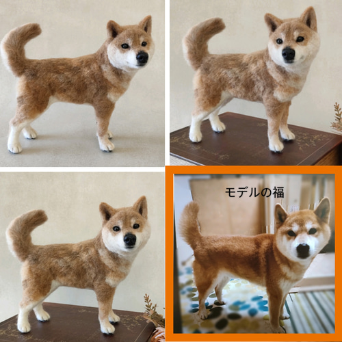 柴犬・秋田犬・和犬系MIX】うちの子オーダーメイド 羊毛フェルト 羊毛
