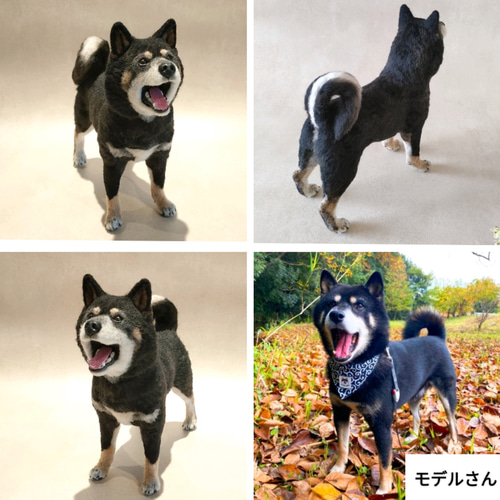 柴犬・秋田犬・和犬系MIX】うちの子オーダーメイド 羊毛フェルト 羊毛