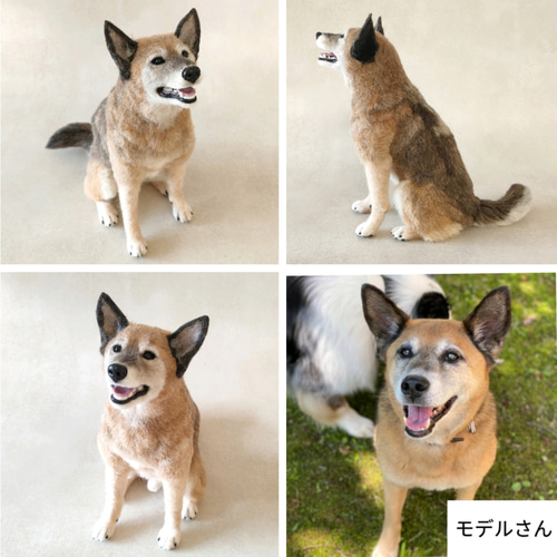 柴犬・秋田犬・和犬系MIX】うちの子オーダーメイド 羊毛フェルト 羊毛