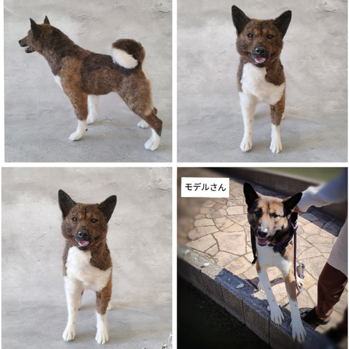 柴犬・秋田犬・シェパード】うちの子オーダーメイド 羊毛フェルト 羊毛