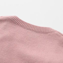 2色 可憐なベリーとフラワー刺繡 カシミヤウールベスト【春秋冬】ブルー・ピンク 16枚目の画像