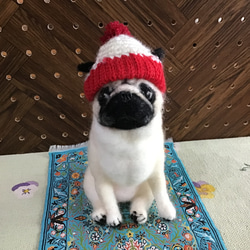 ミニチュアダックス（ピュアクリーム）お座りポーズ 羊毛