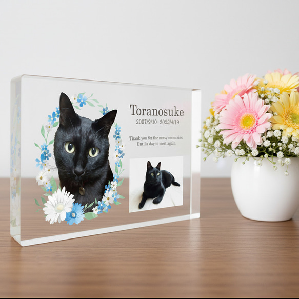 送料無料｜オーダーメイド-ペットメモリアル｜アクリルブロック 猫 犬 遺影 12枚目の画像