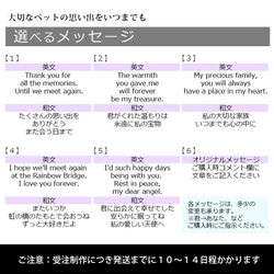 送料無料｜オーダーメイド-ペットメモリアル｜アクリルブロック 猫 犬 遺影 11枚目の画像