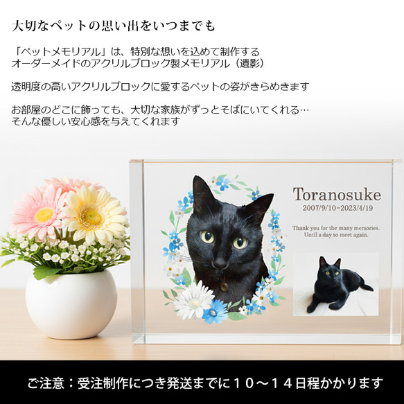 送料無料｜オーダーメイド-ペットメモリアル｜アクリルブロック 猫 犬 遺影 2枚目の画像